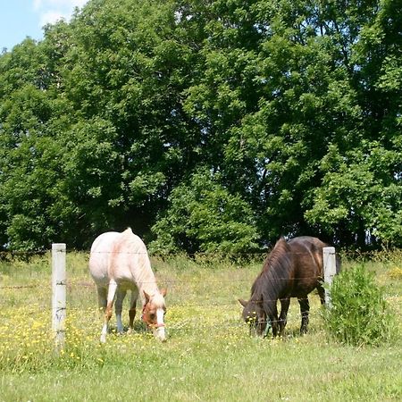 Ferienhaus Sommerbrise, Hof Zur Sonnenseite Fehmarn, 4 Sterne Eksteriør bilde